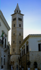 Fototapeta na wymiar The bell tower of Trani cathedral at twilight, apulia. Italy