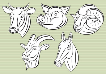 collection of heads animals for design