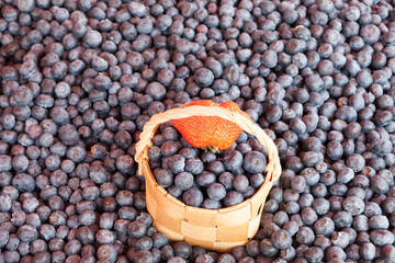 bilberry on a counter of shop
