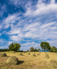 Hay Bale hand made