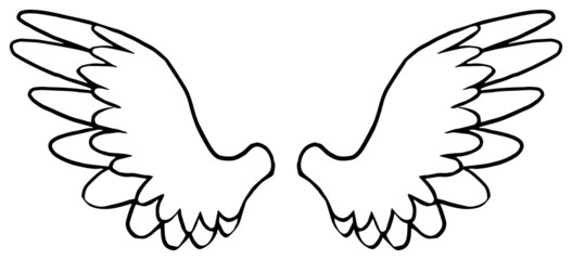 Hand drawn wings