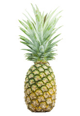 pineapple isolated on white background with clipping path