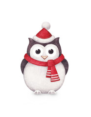 Watercolor illustration of owl