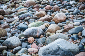 The freezed stones on coast of Baltic sea. A winter landscape