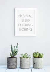 MOTIVATIONAL POSTER WITH SUCCULENTS  "NORMAL IS  FUCKING BORING