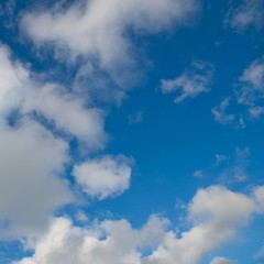 white clouds