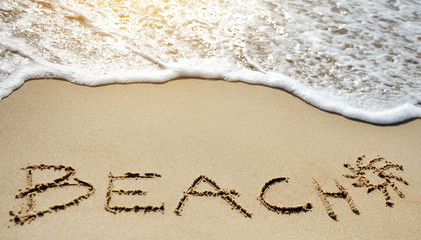 beach sea sun - holiday concept