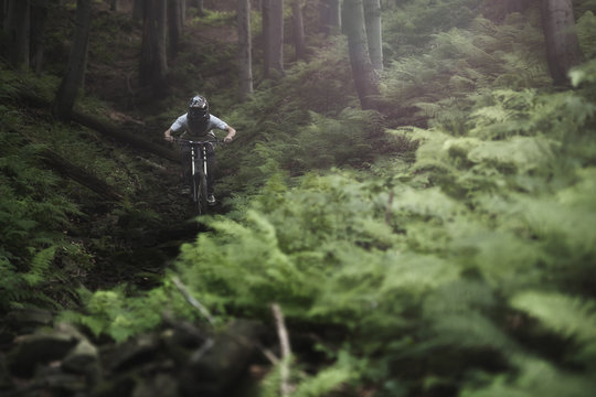 Mountainbiker rides on path in forest