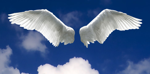 Angel wings with sky background
