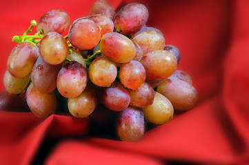 Red Grapes On Red