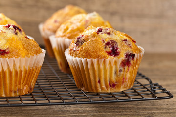 Freshly baked Cranberry muffins. Selective focus.