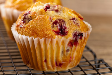 Freshly baked Cranberry muffins. Selective focus.