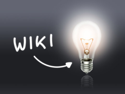 Wiki Bulb Lamp Energy Light gray