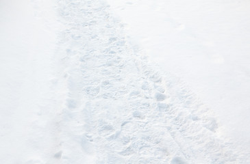 White snow with footprints