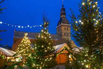 Cathedral in christmas forest