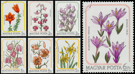 Set of stamps printed in Hungary shows lilies
