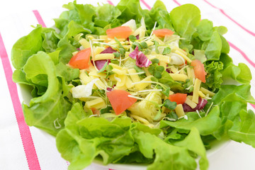 美味しそうなサラダ