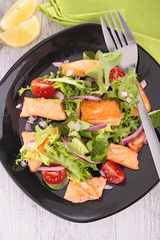 vegetable salad with salmon