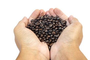 coffee beans isolated