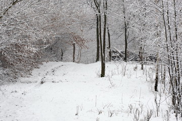 winter alley