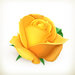 Rose flower, vector illustration