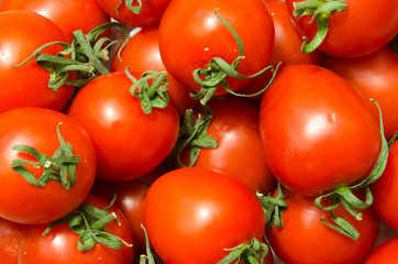 Tomatoes Background