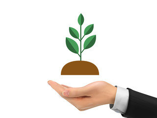 realistic hand holding plant isolated on white