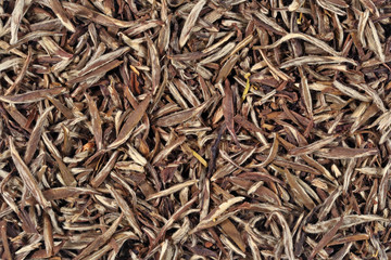 Green tea leaves background