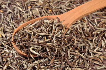 Green tea leaves in a  spoon
