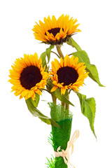 Obraz premium Still Life with Sunflowers Isolated on White Background.