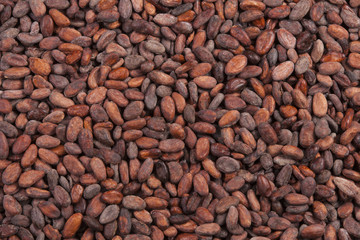 cocoa beans background
