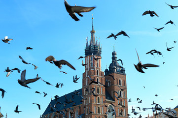 Fototapeta premium Krakow landmarks