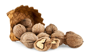 walnut