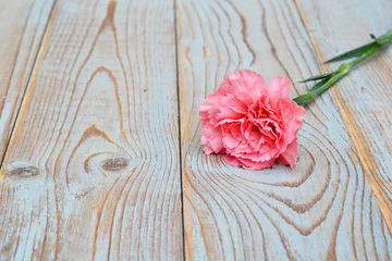 Foto auf Leinwand Mooie roze anjer op houten achtergrond © trinetuzun