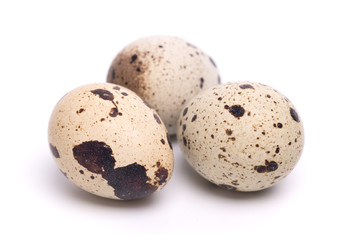 Obraz premium quail eggs