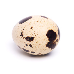 Obraz premium quail egg