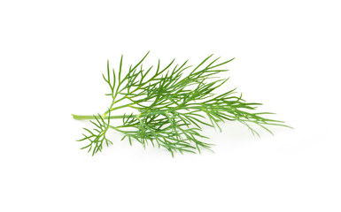 Green dill isolated on white background. Studio macro