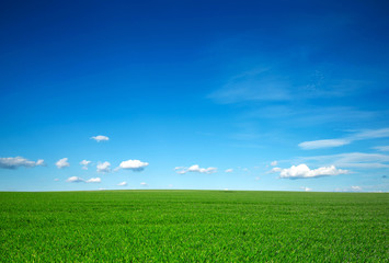 green field