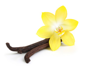 Naklejka na ściany i meble Vanilla pods and flower isolated