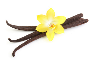 Vanilla pods and flower isolated