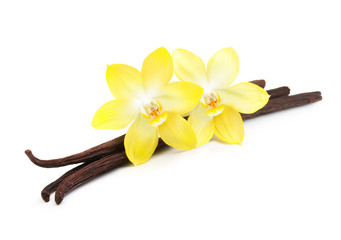 Naklejka na ściany i meble Vanilla pods and flower isolated