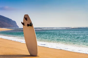 surfboard on the wild beach © petunyia