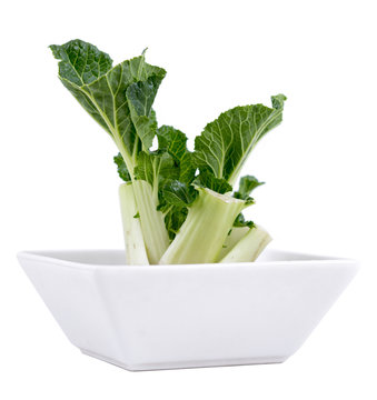 regrow bok choy technique in bowl isolated over white
