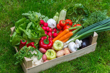 Fresh vegetables in crate