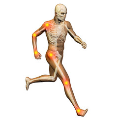 3D human man anatomy with articular pain