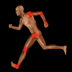 3D human man anatomy with articular pain