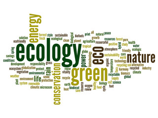 Conceptual ecology word cloud