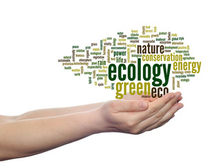 Conceptual ecology word cloud