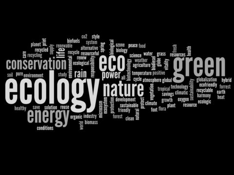 Conceptual ecology word cloud