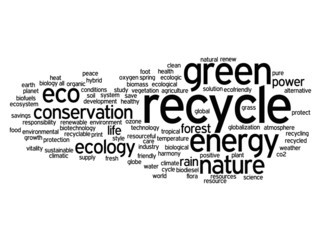 Conceptual ecology word cloud